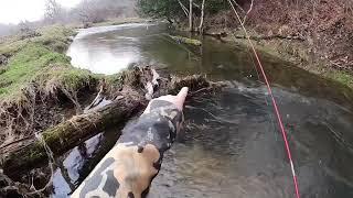 Trout Fishing Tips, Tricks, & Tactics for Small Stream BIG Wild Browns #fishing #trout #mepps