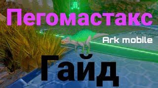 Пегомастакс Гайд ark mobile