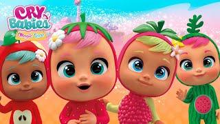  TUTTI FRUTTI BABIES  CRY BABIES  MAGIC TEARS  ÉPISODES COMPLETS  DESSIN ANIMÉ en FRANÇAIS