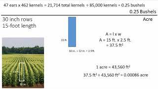 Harvest and Yield Estimation Calculations