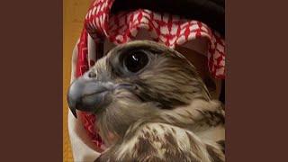 EAGLE ENNASR Trap Arabic Sample Type Beat