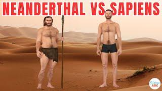 Neanderthals Vs Homo Sapiens: Different Species Or Subspecies?