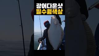 광어 다운샷 웜 추천 필수 색상
