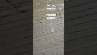 this is a dirt car racing track #dirt #clay #sand #dirtcarracing #dirttracklife #racetrack