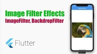 #Flutter Tips - Image Filter (coderzheaven.com)