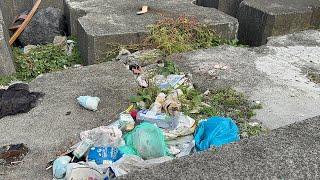 Rabo de Peixe: Garbage and Drugs? Sao Miguel Azores Portugal - 07.10.2024