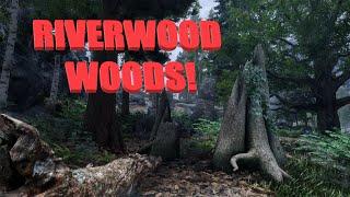 Modded Skyrim SE 2023 - RIVERWOOD Ultra Forest - Ultimate Trees REDUX by ANCIENT part 3 (new mods)