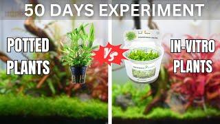 I Tested Potted Plants Against Lab Plants! Here's What Happened