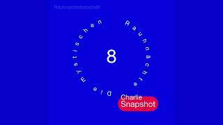 Charlie Snapshot Special - Rauhnacht 8  - #Rauhnächte #Orakel