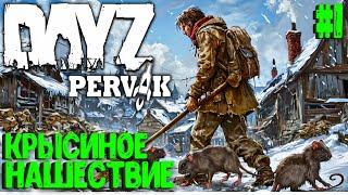 КРЫСИНОЕ НАШЕСТВИЕ!!! СОЛО ВЫЖИВАНИЕ В DAYZ! ПРОЕКТ ПЕРВАК (PERVAK)! #1