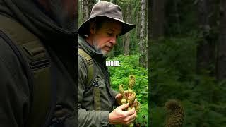 Survival Skills for the Unknown Pacific Northwest
