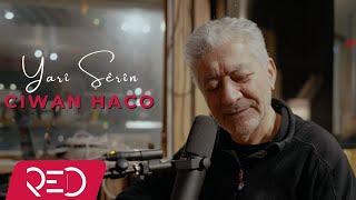 Ciwan Haco - Yarî Şêrîn [Official Video]