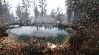 TES V - Skyrim Kountervibe Enb - Northern Lights