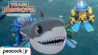Shipwrecked Shark!  Underwater Scuba Rescue | TEAM MEKBOTS: ANIMAL RESCUE