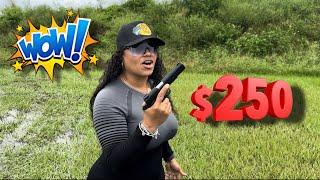 $250 Fullsize 1911.........  How Well Did It Do???