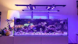 New Reef Tank Build - Unboxing/Review - Illumagic X4 Vitamini LED Bar