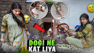 dog attack | bhot pain ho raha hai | Rabia Simple vlog
