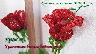 Бокаловидная роза.  Урок 4 - Средние лепестки 5 и 6 / Cup-shaped rose. Lesson 4 - Middle petals 5&6