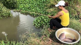 Survival Girl Fishing For Giant Gourami Fish