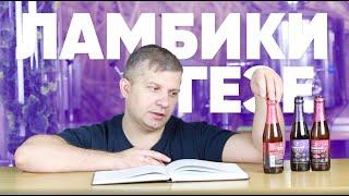Рецепты кислых элей: гёзе и ламбики. Часть 3