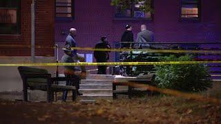 Arrest made after shooting near Jamaica Plain housing complex