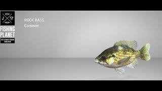 Fishing Planet - Falcon Lake - Rock Bass - Float