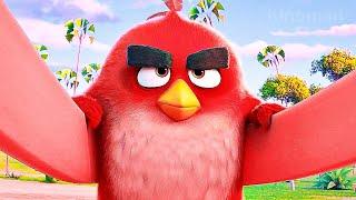 The Angry Birds Movie 3 — Teaser Trailer