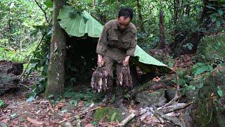 FULL VIDEO: Hunting and Smoking Mountain Rats to Trade for Rice | Deep Forest Survival