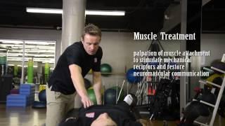 What is Muscle Activation Techniques?