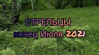 СТРЕЛЕЦ  - чем порадует конец Июля 2021 года?