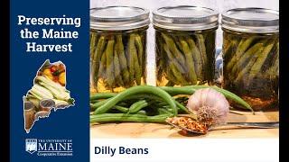 Preserving the Maine Harvest: Dilly Beans
