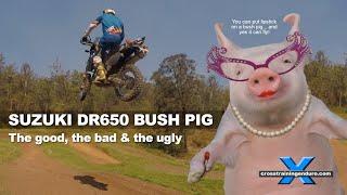 Lipstick on the DR650 bush pig? The good, the bad and the ugly︱Cross Training Adventure