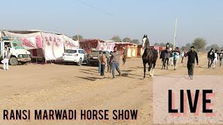 Ransi Show Marwari Horse Show 2023 #horselover #trending