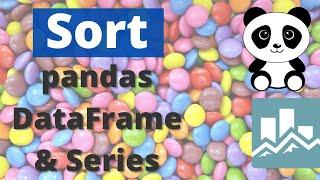 How to Sort a DataFrame and Series in pandas