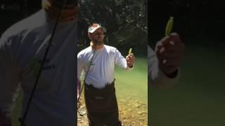 Controlled Depth Fishing Technique Spinning Tackle