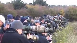 Fan-tailed Warbler Twitchers at Pegwell Bay 07/11/09