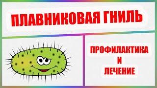 Болезни аквариумных рыбок. Плавниковая гниль. Как лечить Псевдомоноз