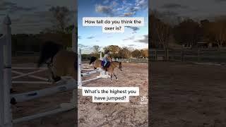 Cute and funny horse video #horse #equestrian #equine #horsevideo #pony