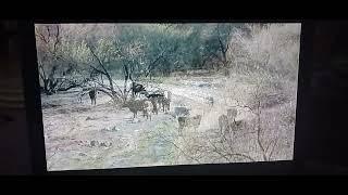 BNSF'S Arizona Divide (2006) Enters Crozier Canyon Arizona with Music/Narrator/grazing Cattle