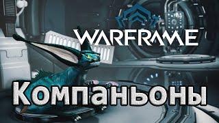 Разговоры о Warframe. Выпуск №5. Компаньоны