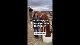 Winter Horse Tips