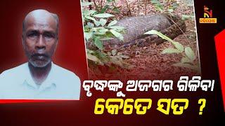 Python Swallow Human Case: Subhendu Mallick Reached At The Spot | Nandighosha TV