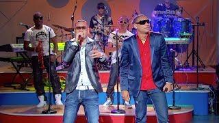 GENTE DE ZONA - El Animal (Live TV Video)