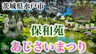 保和苑　徳川光圀公（水戸黄門）が名付けたとされる庭園　あじさいまつり