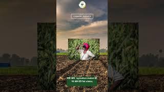 #agriculture #bscagriculturesyllabus #syllabus #education