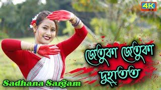 Jetuka Jetuka Duhatot // Sadhana Sargam// Cover Dance By Puja