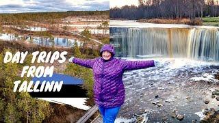 Best Day Trips from Tallinn Estonia | Beautiful Estonian Countryside