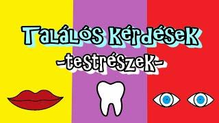 Találós kérdések - TESTRÉSZEK