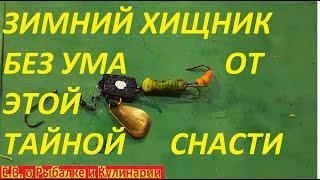 ТАЙНАЯ УНИВЕРСАЛЬНАЯ СНАСТЬ ДЛЯ ЗИМНЕЙ РЫБАЛКИ НА СУДАКА ОКУНЯ И ЩУКУ,ДЕД РЫБАК РАСКРЫЛ СЕКРЕТ.