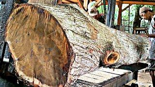 Hard and crisp wood is sawn to make hundreds of dollars worth of furniture